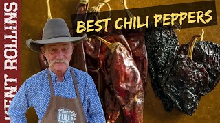 Dried Chili Peppers  Best Peppers for Cooking [upl. by Maryjo]