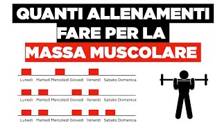 Quanti allenamenti fare per la MASSA MUSCOLARE [upl. by Sterne]