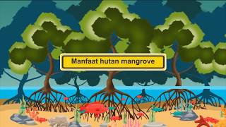 Mangrove Forest Motion Graphic  Hutan Mangrove Animasi [upl. by Oirram425]