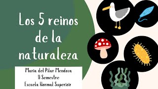 LOS 5 REINOS DE LA NATURALEZA [upl. by Aiveneg613]