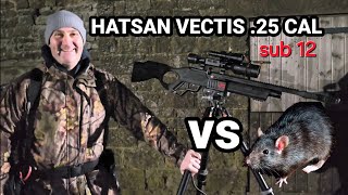 hatsan vectis in 25 cal SUB 12 🐀 🐀 🐀 [upl. by Neda]