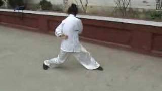 a kung fu masters amazing exercise [upl. by Jovitta]