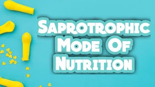 Nutrition in Plants। Part7 Saprotrophic mode of Nutrition। NCERT Class 7 Science Chapter 1 [upl. by Eednahs]