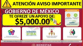 🔴 Gobierno de México ofrece un apoyo mensual de 5000 pesos Te explicamos como ser beneficiario ✔️ [upl. by Kina]