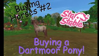 BUYING HORSES 2  Buying a Dartmoor Pony  SSO  Grokett Twins [upl. by Connie]