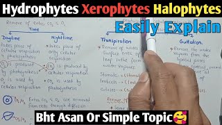 Osmotic Adjustment In Plants  Hydrophytes Xerophytes amp Halophytes  Class 10 Biology [upl. by Ahcsatan]