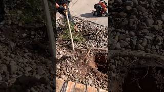 Clean up and Rockscape repair foryou landscaping nm [upl. by Verina]