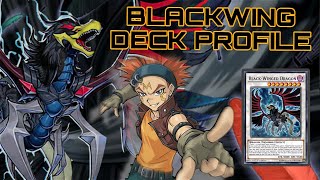 BLACKWING DECK PROFILE MAY 2024 [upl. by Gio875]