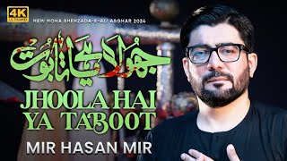 Jhoola Hai Ya Taboot Tumhara Ali Asghar  Mir Hasan Mir Nohay 2024  Muharram 20241446 [upl. by Entroc]