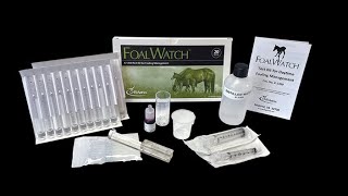 FoalWatch Test Kit Demo Video [upl. by Jade368]