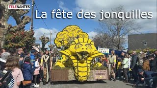 Plus de 30 000 spectateurs pour la fête des jonquilles 2024 [upl. by Meggs]