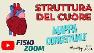 Struttura del cuore FisioMap [upl. by Petrie]