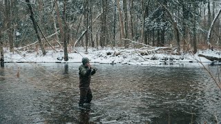 Fly Fishing on the Mossup [upl. by Aknayirp]