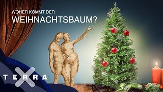 Was Adam und Eva mit dem Weihnachtsbaum zu tun haben [upl. by Evod]