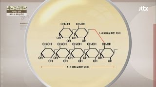 효모 속 베타글루칸 병원균 amp 암세포를 없애다 신인류 식품관 21회 [upl. by Naie661]