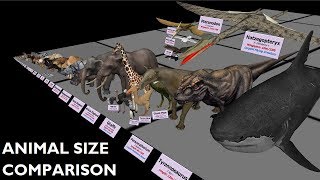 Animal Size Comparison 3D [upl. by Noraj]