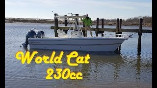 World Cat 230cc WalkThru Fully Equipted [upl. by Oinafipe]