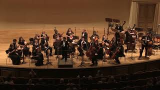 Natchitoches Central String Orchestra  Theme from the Moldau by Smetana Bedrich [upl. by Allerie]