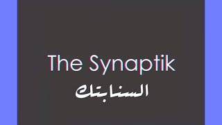 The Synaptik  KAS GALEB  كاس قلب Official Lyrics Video [upl. by Chilson]