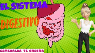 El Sistema Digestivo  El Cuerpo Humano  Esmeralda Te Enseña [upl. by Ahsemat]