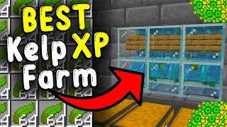 The BEST KELP XP Farm In Minecraft Bedrock 121 [upl. by Petronille]