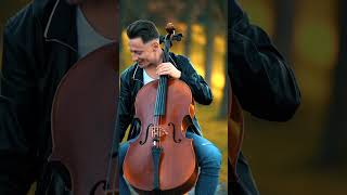 Amr Diab  Tamally Maak 🇪🇬amrdiab tamallymaak cello viral music egypt arabicsong [upl. by Dorcas583]