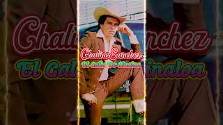 Chalino Sanchez  El Gallo De Sinaloa [upl. by Adnohsad]