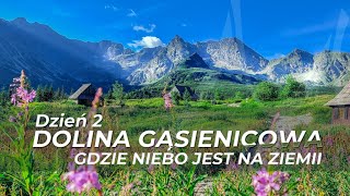 TATRY  Dolina Gąsienicowa  Gdzie niebo jest na ziemii  4K [upl. by Anigal]