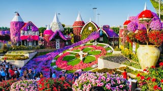 Miracle Garden Dubai 2022  The world’s largest natural flower garden [upl. by Shepley272]