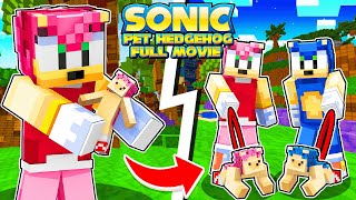 Minecraft Sonics Pet Hedgehogs Saga FULL MOVIE [upl. by Ainecey]