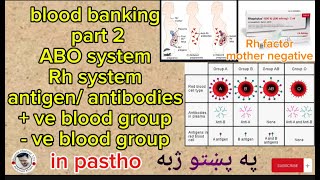 RH system ABO system  blood banking part 2Rh mother negative rhesus incompatible in pastho [upl. by Benedicta156]