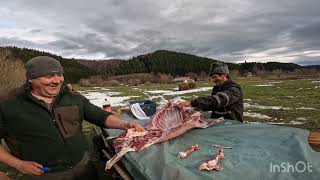 La Stână POMPI ne face Pastrama de oaie de 1 Decembrie Loc Zarnesti Brasov Partea 1 [upl. by Waterman]