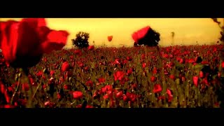 Sisu  Din Toate Florile  Official Video [upl. by Middendorf]