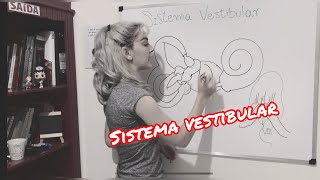 Sistema Vestibular  Resumo da anatomia fisiologia e função do Sistema Vestibular Periférico [upl. by Arul]