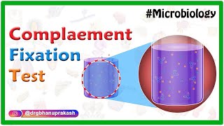 Complement Fixation test  Microbiology animations [upl. by Bastien34]