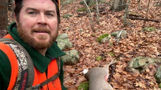 Still hunting tracking 🦌hunt shotgun Massachusetts [upl. by Asital850]