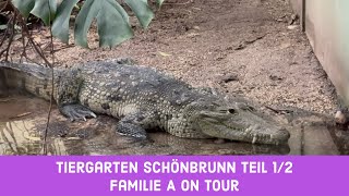 Tiergarten Schönbrunn Familie A on Tour Teil 12 vienna familieaontour familieaaufreisen [upl. by Niatirb]