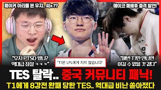 T1 4년 연속 롤드컵 4강 진출 TES 메이코 결국 T1 공포증 인정했다 quot매번 T1만 만나면 이길 수 없을 것 같은 느낌이 든다quot 롤이슈 붐바야 [upl. by Niliac]