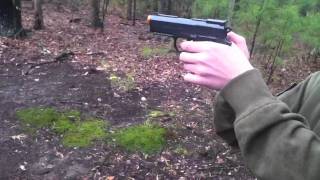 CO2 Wingun 321 Airsoft Review [upl. by Nyvar]