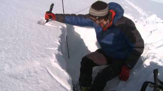 Snow Pit Basics w IFMGA Guide Evan Stevens [upl. by Rabma]