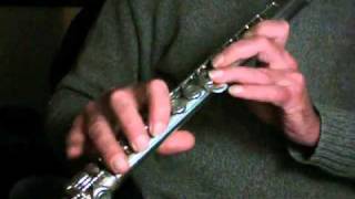 Jazz Flute C Minor Blues [upl. by Colton]