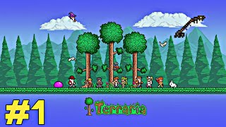 Início de uma aventura  Terraria 141 1 [upl. by Georgianna900]