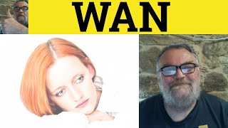 🔵 Wan  Wan Meaning  Wan Examples  Wan Pronunciation  WAN Definition  Describing People [upl. by Rebmetpes72]