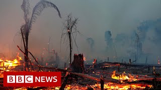 Climate change IPCC report is code red for humanity UN scientists say  BBC News [upl. by Haropizt]