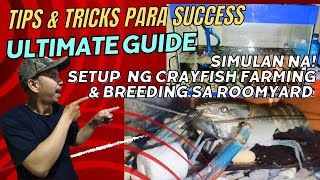 StepbyStep Tutorial Paano Magsimulang Mag Setup ng Crayfish Farming sa Aquarium na nasa Roomyard [upl. by Aiekam]