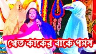 বেহুলা শ্বেত কাকের বাকে গমন  swet kaker bak  নন্দলালপুর মনসা গান  Ma Manasa Gan [upl. by Falcone]