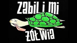 ZABILI MI ŻÓŁWIA  DLACZEGO [upl. by Adonis]