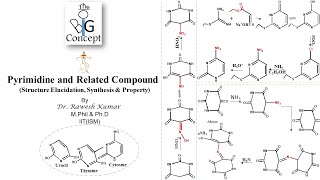 Pyrimidines amp Related compounds Structure Elucidation Synthesis amp Property [upl. by Akehsyt]