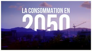 2050  Les conséquences de la fin de quotlabondancequot [upl. by Grannie]