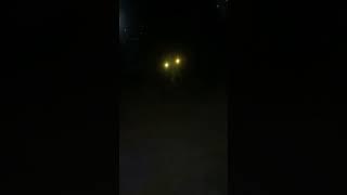 Dog uses genjutsu street dog wolf eyes [upl. by Alleacim]